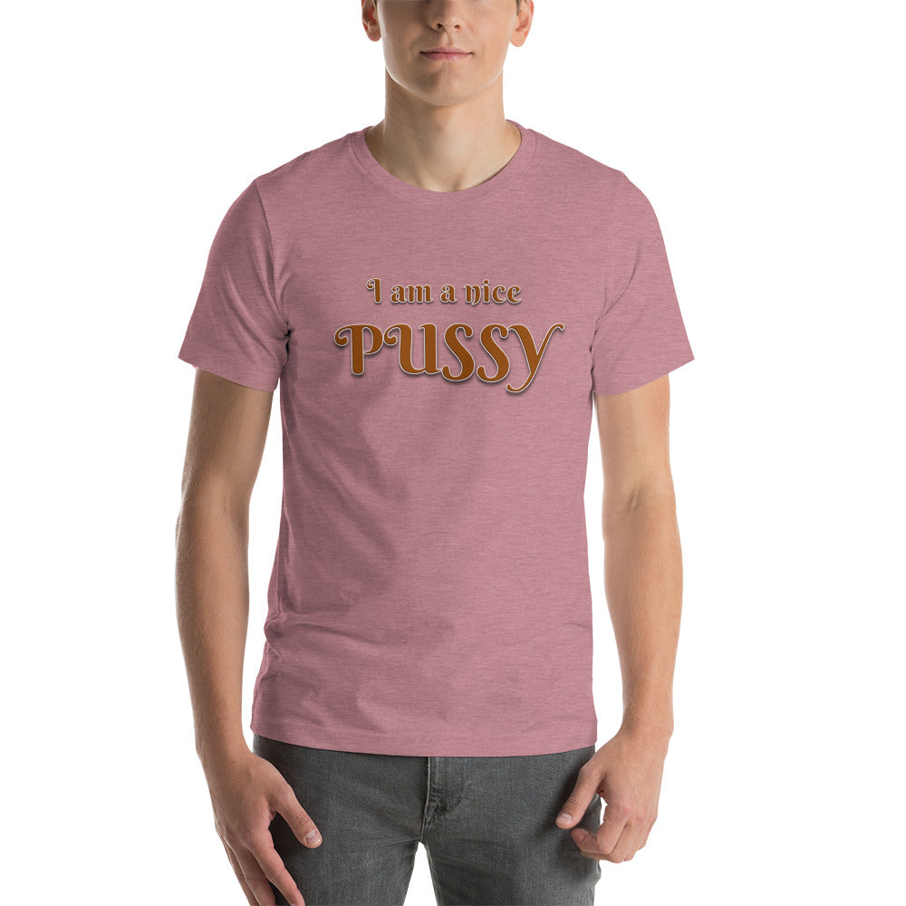 I am A Nice Pussy T-Shirt