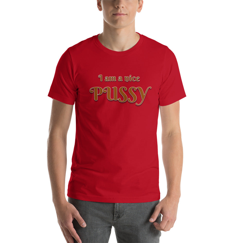 I am A Nice Pussy T-Shirt